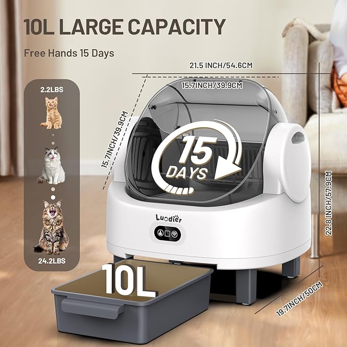 Self Cleaning Cat Litter Box, Open-Top Large Automatic Litter Box for Multiple Cats with Safety Sensors, Includes Liner Bags and Litter Mat White