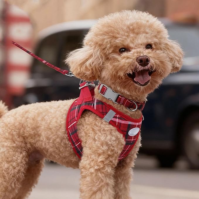 GLOGLOW Pet Supplies Voyager Step in Air Harness Soft Light Puppy Vest Breathable Mesh Pet Harness Strap for Dogs Cats Secure with Easy Control Handle (M)