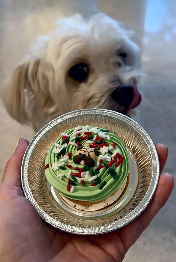 Dog Christmas Cake Treat