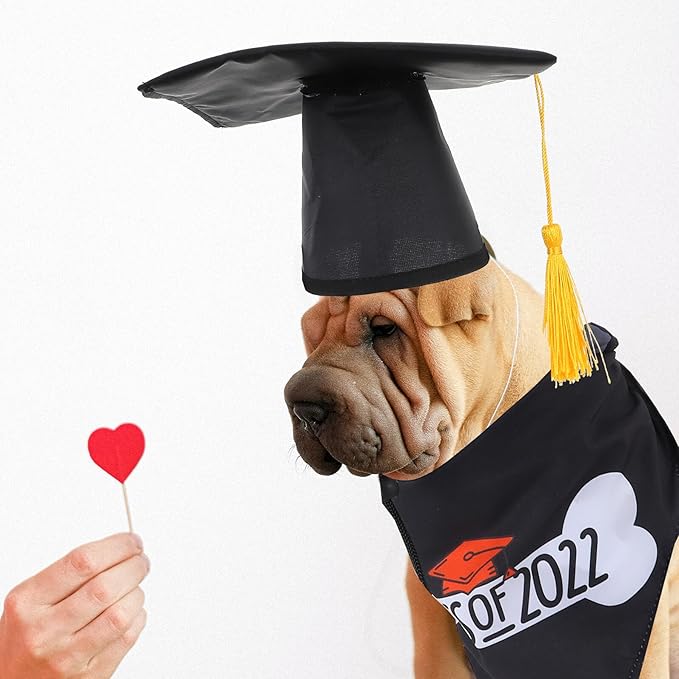 Dog Graduation Cap and Washable Saliva Towel Set, Decorative Pet Bandana and Doctoral Hat for Graduation Party Supplies, 2pcs Puppy Costume Accessory
