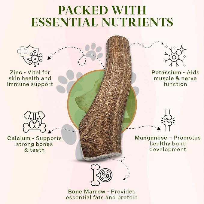 Healthy Dogma Premium Dog Care Bundle | PetMix Original 2lbs Dehydrated Dog Food & Whole Elk Antler Chew | Supports Nutrition, Joint Health & Long-Lasting Chewing Satisfaction