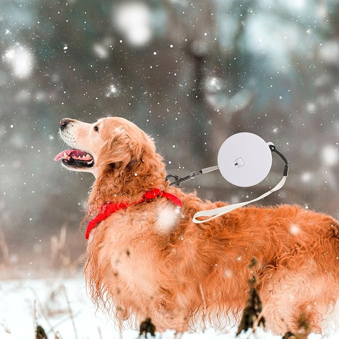 Garneck Retractable Dog Leash 3 Meter Length Adjustable Rope Leash for Small and Large Dogs Outdoor Walking Pet Supplies White Round Handle Random Color