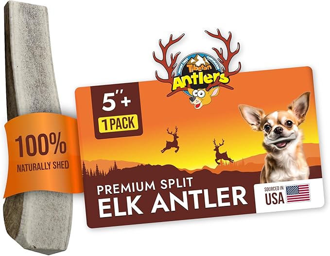 Tibetan Elk Antler for Dogs, Grade-A, 5"+ Premium Antler Chews, Naturally shed Healthy & Longer Lasting Aggressive chewers, USA Product (Split)