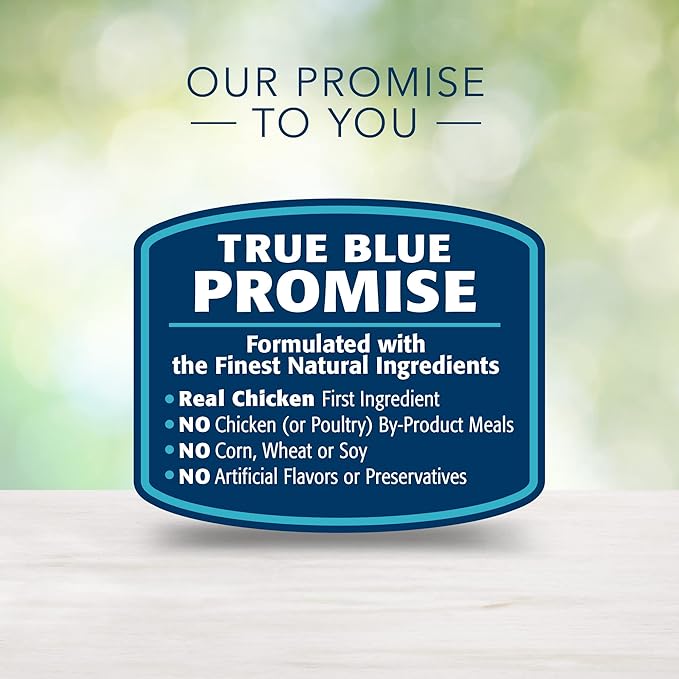 Blue Buffalo Freedom Grain Free Natural Adult Pate Wet Cat Food, Indoor Chicken 12.5-oz cans (Pack of 12)