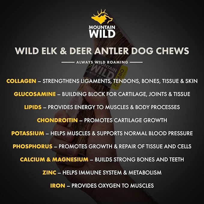 Split Elk Antler Dog Chews for Aggressive Chewers – Naturally-Shed, Long-Lasting, Odorless, Mineral-Rich – No Fillers, No Preservatives – Supports Dental Health – Large Breeds (Jumbo)