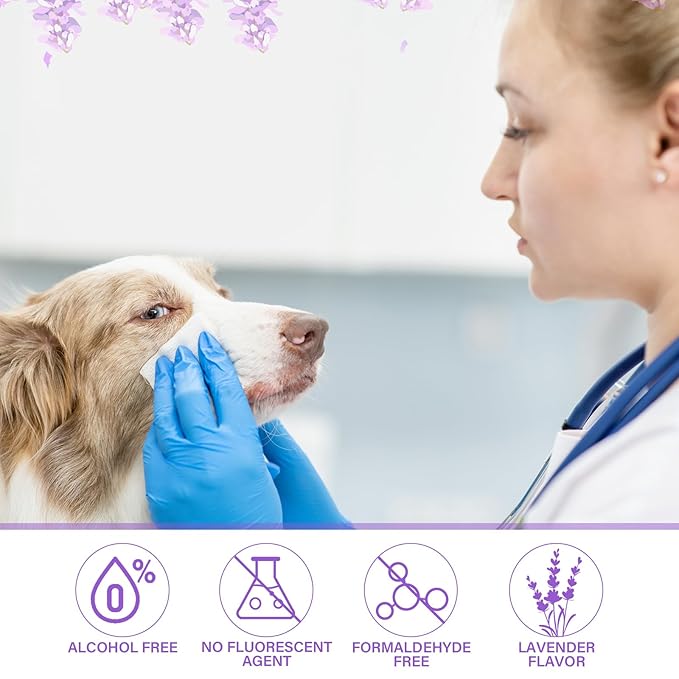 Treela 10 Packs of 800 Dog Wipes Pet Wipes Cat Grooming Supplies for Paws, Butt, Ear, Skin, Eye, Body Cleaning Bath Stain Odor Remover, Home or Travel Use(Lavender)