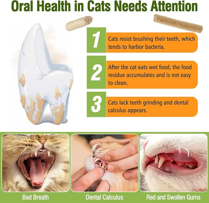 Freezed Drying 100g Cat Chew Sticks Quail Flavor, Cat Teething Sticks for Teeth Cleaning Dental Care, Cats Chew Toys for Fresh Breath