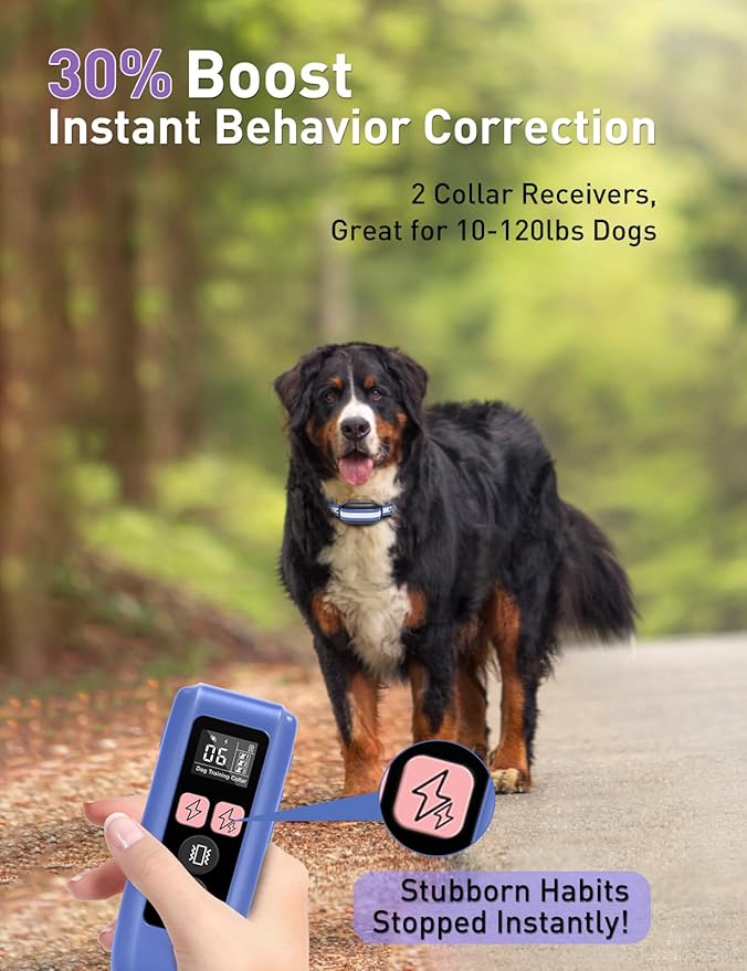 Dog Shock Collar 2 Dogs (10-120lbs) - 3300Ft Dog Training Collar with Beep, Vibration & Shock, IPX7 Waterproof Rechargeable Dog Shock Collars for Small Medium Large Dogs, Security Lock, Purple