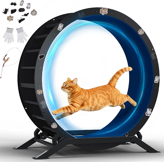 GTPLAYER Cat Wheels, Large Cat Exercise Wheel for Indoor Cats, 40"Diameter cat treadmill Detachable Carpet & Teaser, stickers, Ultra-quiet scroll wheel With latch, Suitable for Most Cats, Metal, Blue