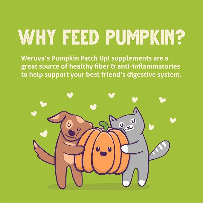 Weruva Pumpkin Patch Up!, Pumpkin with Ginger & Turmeric for Dogs & Cats, 2.8oz Pouch (Pack of 12)