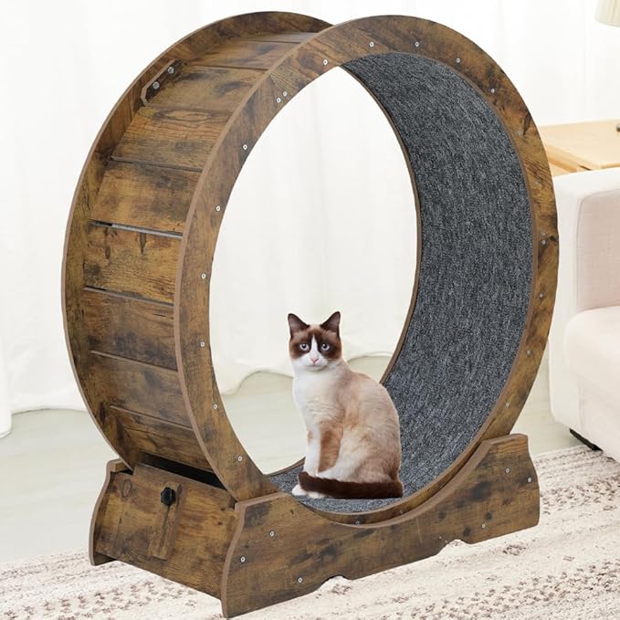 Cat Exercise Wheel for Indoor Cats - Large Running Wheel for Small Animals With Locking Mechanism (35.4"(90cm), Rusty Brown)