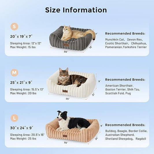 Large Cat Beds - Orthopedic Dog Bed for Medium Dogs, Rectangle Pet Bed with Fluffy Removable Washable Cover, 25x21x9inches, Cream