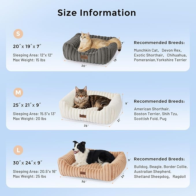 Small Dog Beds for Small Dogs - Washable Cat Beds for Indoor Cats, Rectangle Orthopedic Puppy Bed with Fluffy Removable Cover, 20x19x7inches, Grey