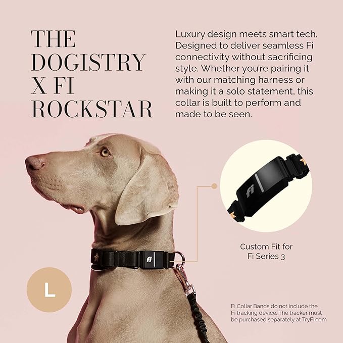 The Fi Rockstar Collar - Luxury Design Meets Smart Tech - Crafted for Fi Series 3/3+ - Seamless Style & Craft