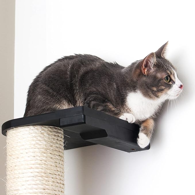 Catastrophic Creations Cat Scratching Post – 4-Tier Cat Wall Scratcher – Durable Bamboo & Sisal Cat Scratcher Post – Hand-Crafted Cat Scratching Posts for Indoor Cats – Modern Cat Furniture-