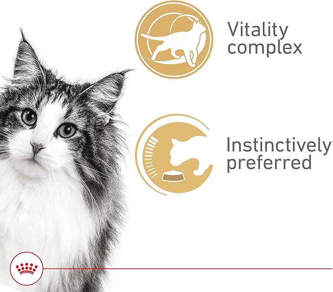 Royal Canin Feline Health Nutrition Instinctive 7+ Mature Thin Slices in Gravy Cat Food, 3 oz (Pack of 24)