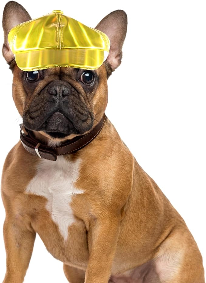 Dog Hat Baseball Cap for Small Dogs Bright Color XL Wear-Resistant Decor Portable for Outdoor Use and Pet Supplies