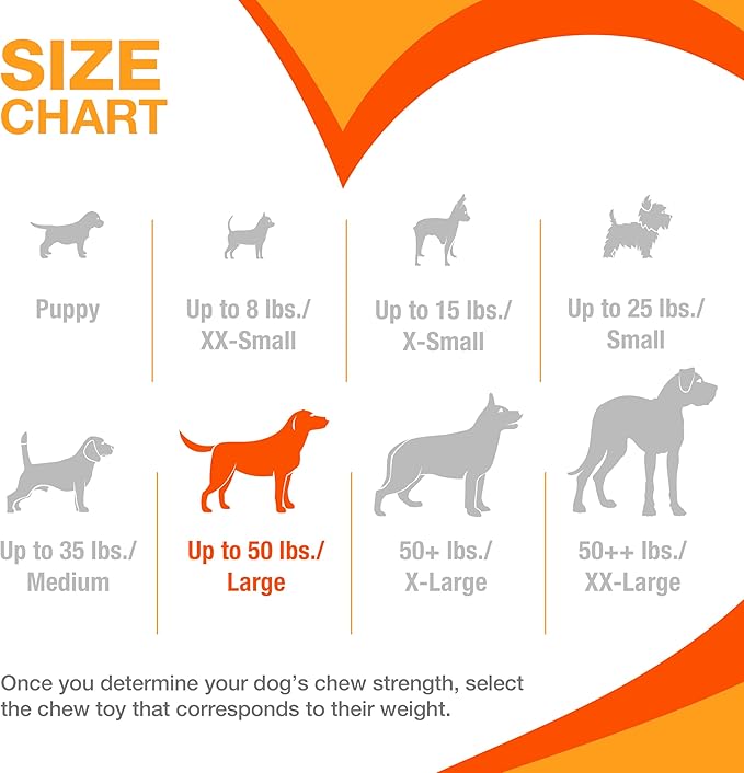 Nylabone Femur Bone Strong Chew Toy for Dogs Made with Real Bison & Venison, Durable Dog Chew Bones for Aggressive Chewers, Long-Lasting Flavor Keeps Dogs Busy, Large Dog Toys - Up to 50 lbs, 1 Count