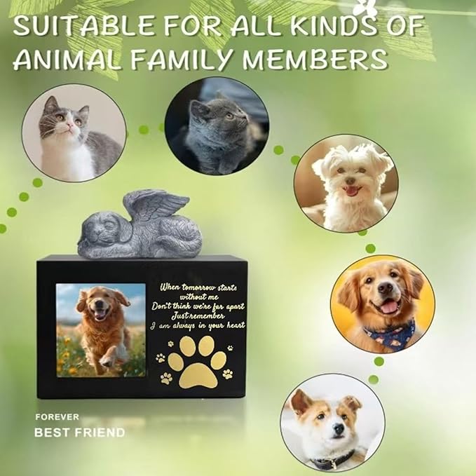Dog and Cats Ashes Container Pet Container with Resin Angelic Figurine and Personalizing Memorial Feature Supply Box for Cats and Dog