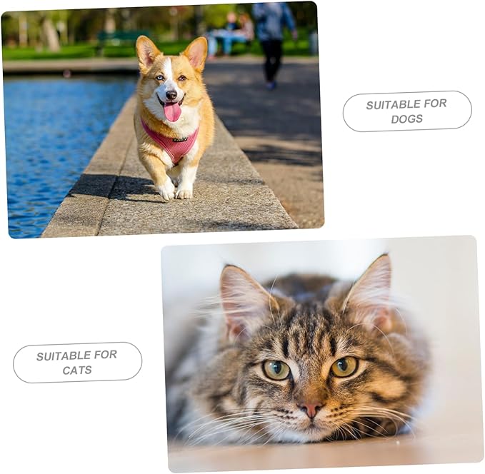 Pet Feeder Cat Feeder and Water Dispenser Kitten Food Container Easy to Fill
