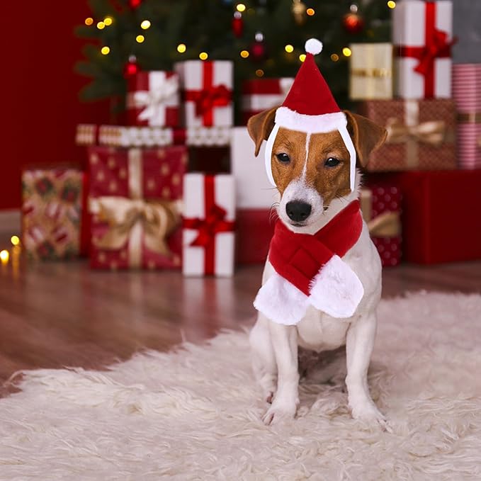 SHOWERORO Christmas Pet Costume Set Dog and Cat Scarf and Hat Accessories L Size Holiday Party Supplies