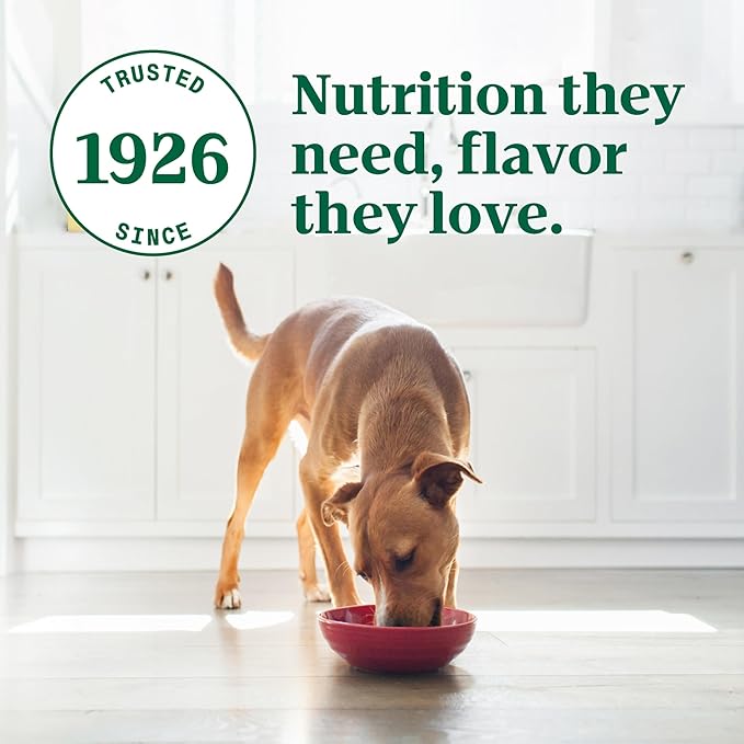Nutro Ultra Wet Dog Food Pate with Food Toppers for Dogs, Chicken & Turkey Entree Variety Pack, 3.5 oz Trays (12 Count, Pack of 1)