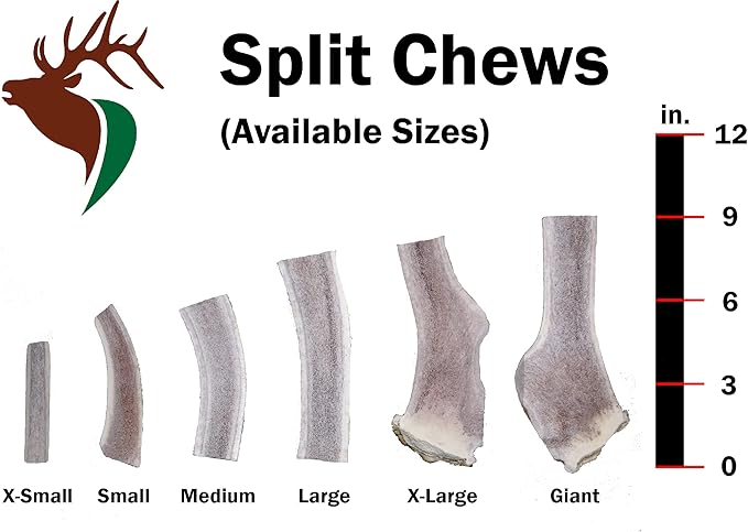 Small Split Single Pack (for 0-20 lb Dogs and Puppies) Premium Grade Elk Antler for Dogs (1 Piece) Sourced in The USA