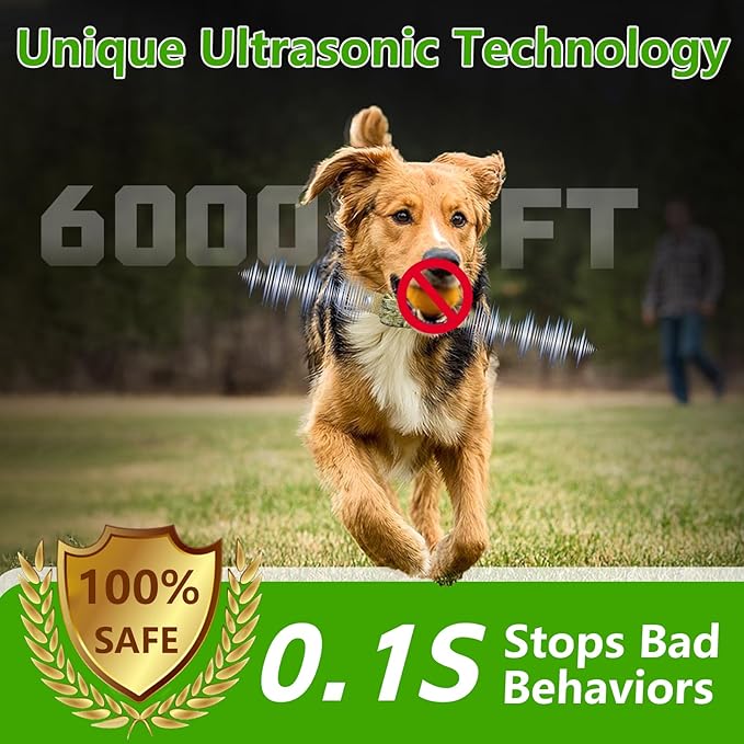 Wireless Dog Fence System for 2 Dogs with 2 Collars Electric Dog Fence Mulit Dogs Training Shock Collar with Remote 856 Acre Ultrasonic Waterproof Portable Outdoor Safe Pet Containment System