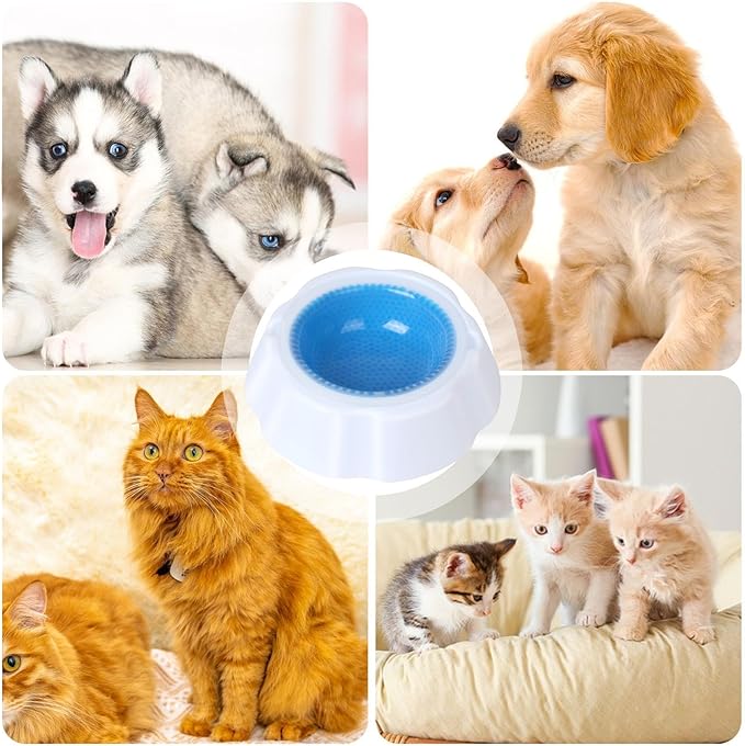Cool Pup Cooling Pet – Sturdy Functional High-Performance Versatile Bowl Chilling Dog Summer, Lightweight, Supplies Cat Condensation Beads, Ice | Multipurpose Outdoor Indoor Utility