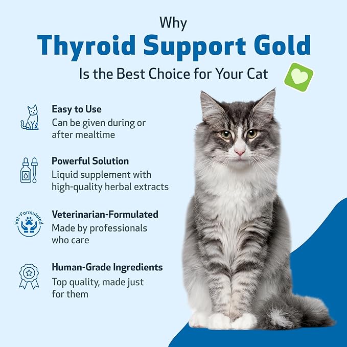 Pet Wellbeing Thyroid Support Gold for Cats - Holistic Thyroid Balance with Bugleweed & Lemon Balm, Feline Metabolic Health Supplement - NASC Certified & Vet-Formulated - 2 oz Liquid Formula