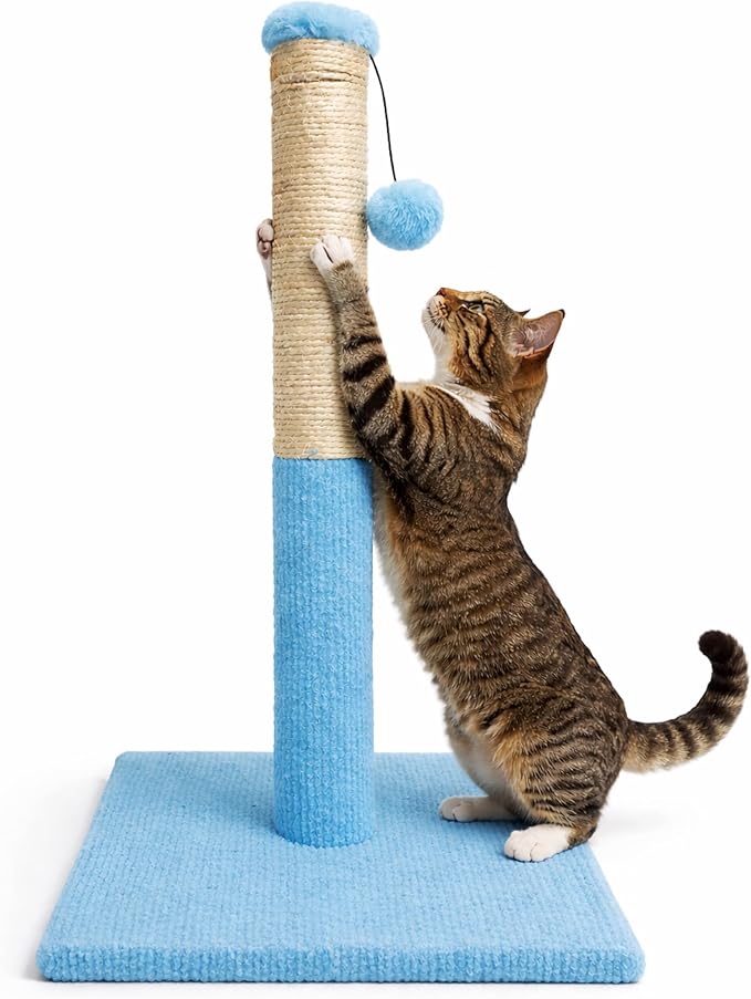 ASPCA Cat Scratching Post for Indoor Cats – Compact Sisal Rope Scratcher with Hanging Teaser Toy – Space-Saving Scratching Post for Kittens & Small to Medium Cats