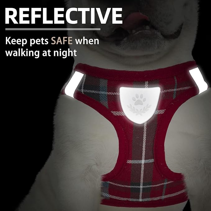 PUPTECK Adjustable Pet Harness Collar and Leash Set Step in for Small Dogs Puppy and Cats Outdoor Training and Running, Soft Mesh Padded Reflective Vest Harness,XXS,New Red