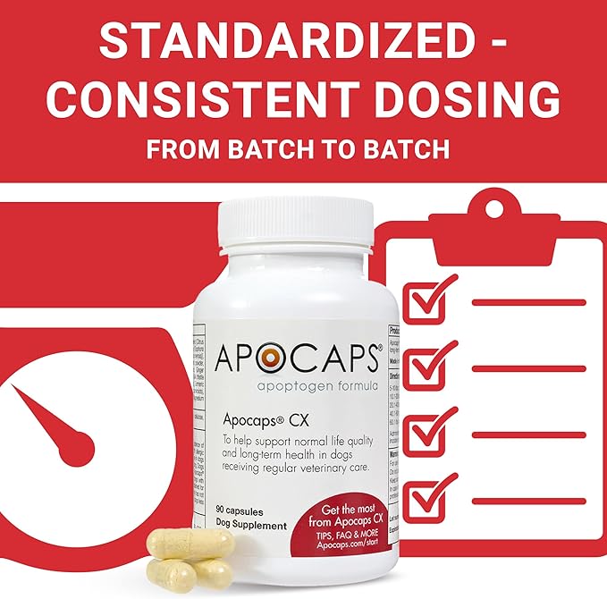 Apocaps CX Apoptogen Formula for Dogs (90 Capsules) - Supports Normal Levels of Apoptosis + Human Grade Ingredients Including Citrus Bioflavonoids, Silymarin, Curcumin and Turmeric + Biovadex