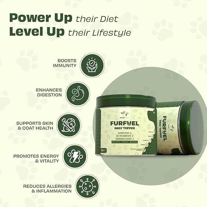 Pawfect Furfuel Dog Food Toppers Immune Support Allergy Relief Gut Health Skin and Coat Care Anti Inflammatory Dog Food Toppers with Bromelain Broccoli Quercetin Antioxidant Formula (150g/5.29oz)