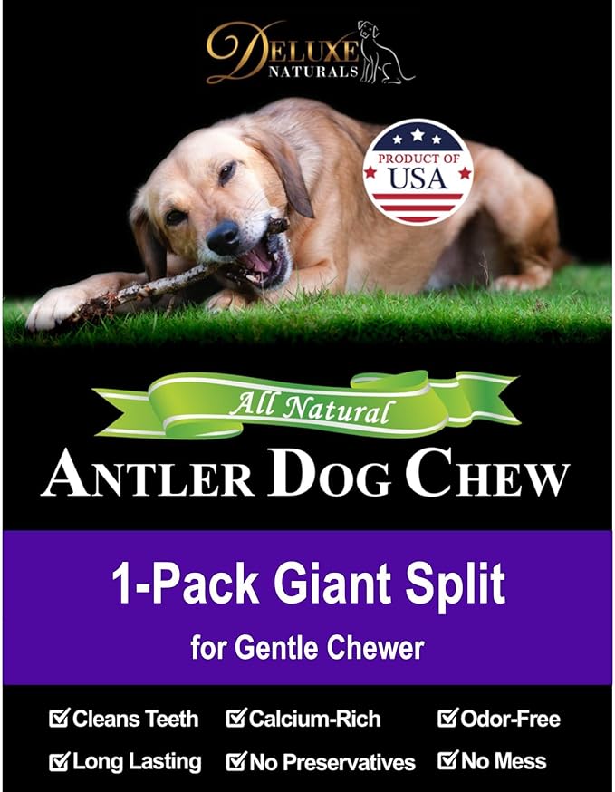 1-Pack Giant Split Elk Antler Dog Chews – Center‑Cut, 7.5‑10 inch Long, USA‑Sourced Natural Dental Treats for Medium & Large Dogs up to 60 lb, Long‑Lasting Odor‑Free Chew