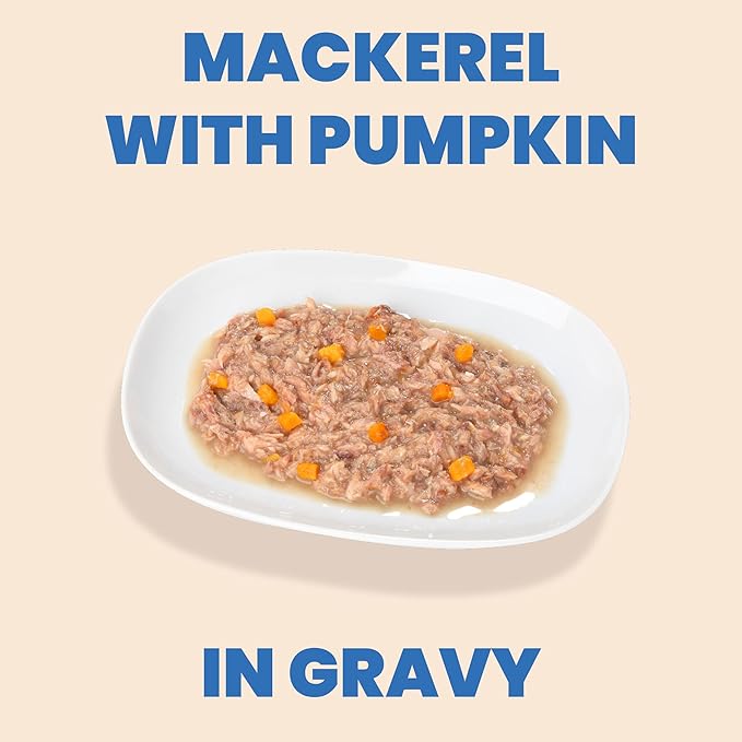 almo nature HQS Complete CAT Wet Cat Food Mackerel and Pumpkin in Gravy - Grain-Free Cat Food Canned, 2.47 oz (Pack of 12)