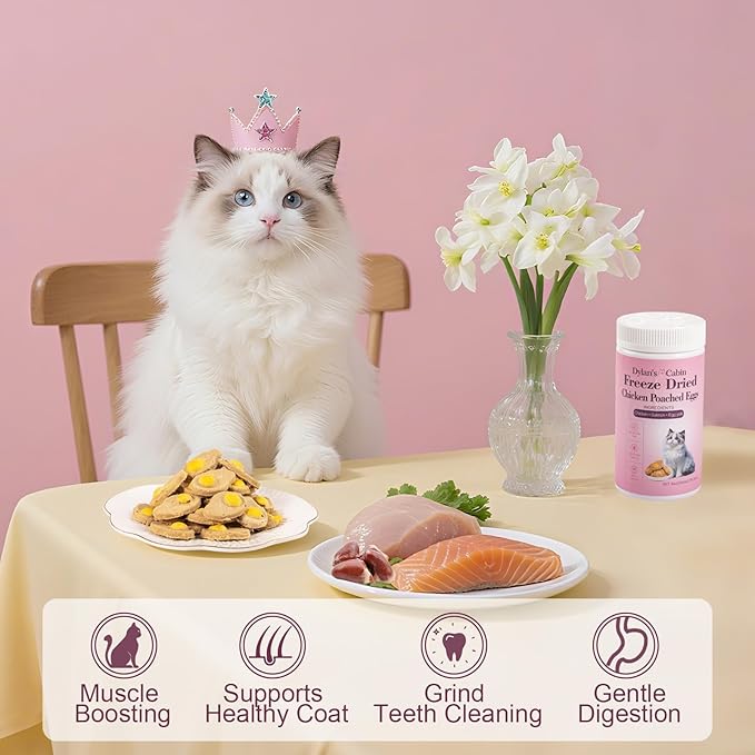Dylan's cabin Freeze Dried Chicken Cat & Dog Treats - High Protein Poached Eggs Bites with Salmon & Pumpkin Training Kitten Puppy Snack for Coat Gut Healthy, 34pcs