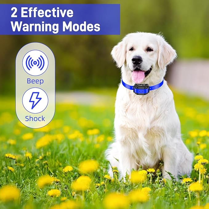 Electric Fence for Dogs, Rechargeable Underground Dog Fence System with 656Ft Boundary Wire, In Ground Dog Fence with 2 Waterproof Collar Receivers, Pet Containment for Outdoor Yard Training