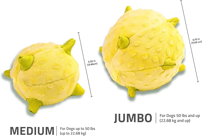Playology Dog Toys | Puppy Toy Plush Sensory Ball for Dogs and Puppies | Jumbo Chicken Scented Toy - Easy to Clean and Made from Non Toxic Materials