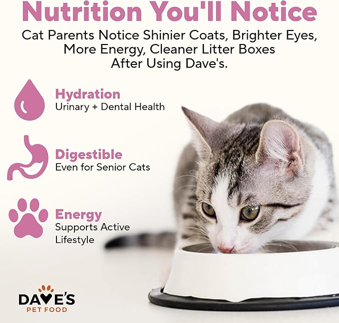 Dave's Pet Food Grain Free Wet Cat Food Pate (Beef & Chicken), Made in USA Naturally Healthy Canned, 12.5 oz Cans (12 Pack)