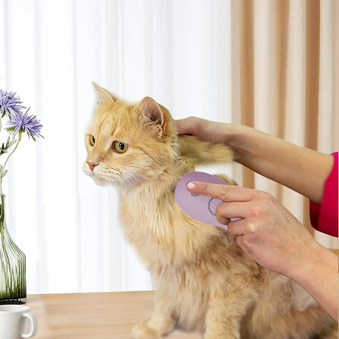 Cat Steam Brush, Cute Whale Shape Hair Brush Cat Dog Pet Brush Massager Steam, Pet Comb Massage Brush, Rechargeable Cat Hair Brush, Flyaway Hair Prevention Cat Grooming Brush (B)