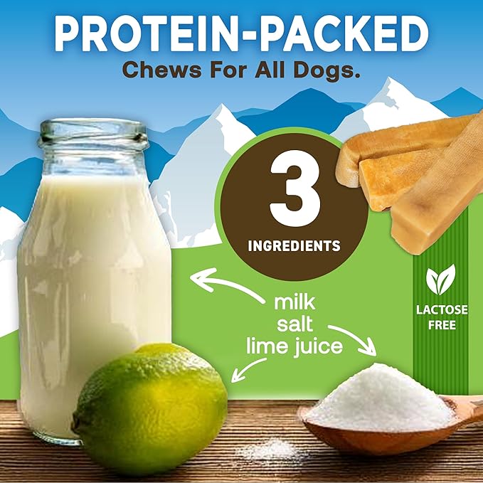 EcoKind Premium Gold Yak Cheese Himalayan Dog Chews, Dog Treats Large Breed, All Natural, High Protein, for Aggressive Chewers, Large - 8+ Chews (2 lbs)