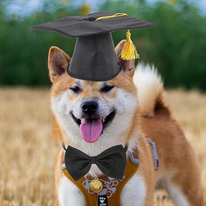 SUPVOX Graduation Themed Dog Necktie and Puppy Doctoral Hat Set Decorative Pet Supply for Dog Party and Celebration Accessories