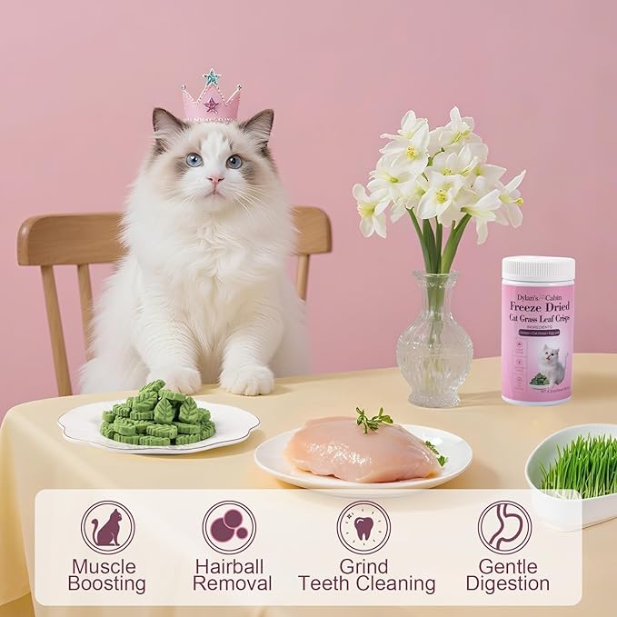 Dylan's cabin Freeze Dried Cat Grass Teething Treats - High Protein Leaf Crisps with Chicken, Egg Yolk Natural Chew Treats for Teeth Cleaning Hairball Control,86pcs