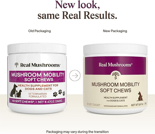 Real Mushrooms Mobility Chews for Dogs & Cats – Green Lipped Mussel & ErgoGold Mushroom Blend – Dogs & Cat Vitamins Treats for Active Routines – Joint, Hip & Flexibility Support – 240 ct Supplement