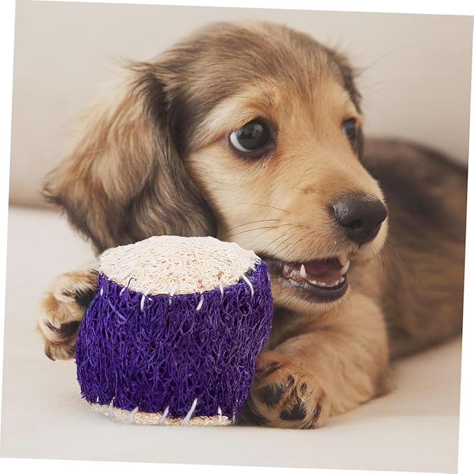 BESPORTBLE 2pcs Natural Loofah Dog Chew Tennis Ball Set for Puppy Training Interactive Pet Chew Sturdy Ball Supplies for Dogs Random Color