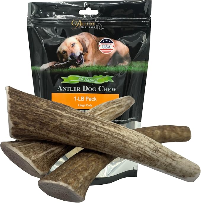1-LB Large Whole Elk Antlers Dog Chews 6–9+ Inches for Medium & Large Dogs (30–80 lbs) – Long-Lasting Natural Treats for Aggressive Chewers