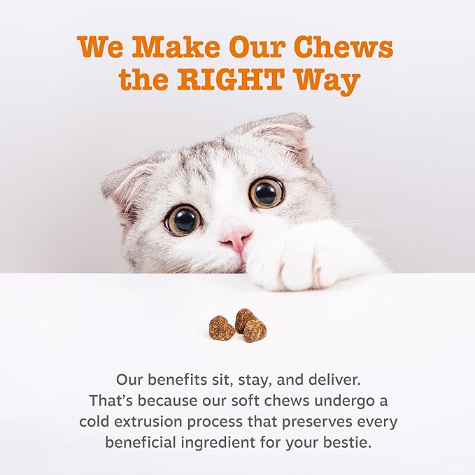 Zesty Paws Cat Allergy Relief - Anti Itch Supplement - Omega 3 Probiotics - Salmon Oil Digestive Health - Soft Chews for Skin & Seasonal Allergies - with Epicor Pets - Bacon - 60 Count