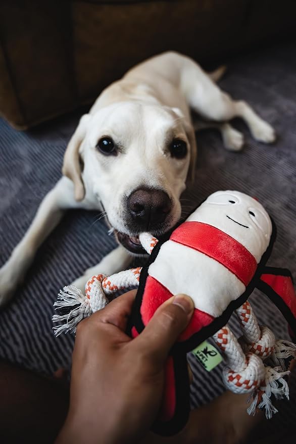 Dog Toy, Squeaky Plush Dog Toy, Rough & Tough Interactive Pet Toy, Recycled Fabric and Double Stitched (Lobster)