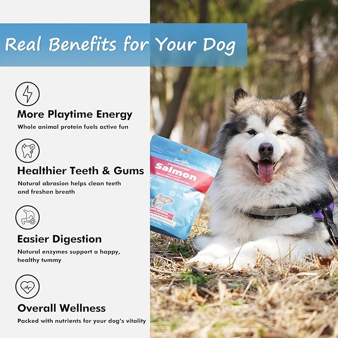 Freeze-Dried Salmon Dog Treats with Omega-3, Skin & Coat Health Soft Cubes, Single-Protein Limited Ingredient Diet, 2cm Easy Chew Size, Grain-Free Resealable Bag 6oz